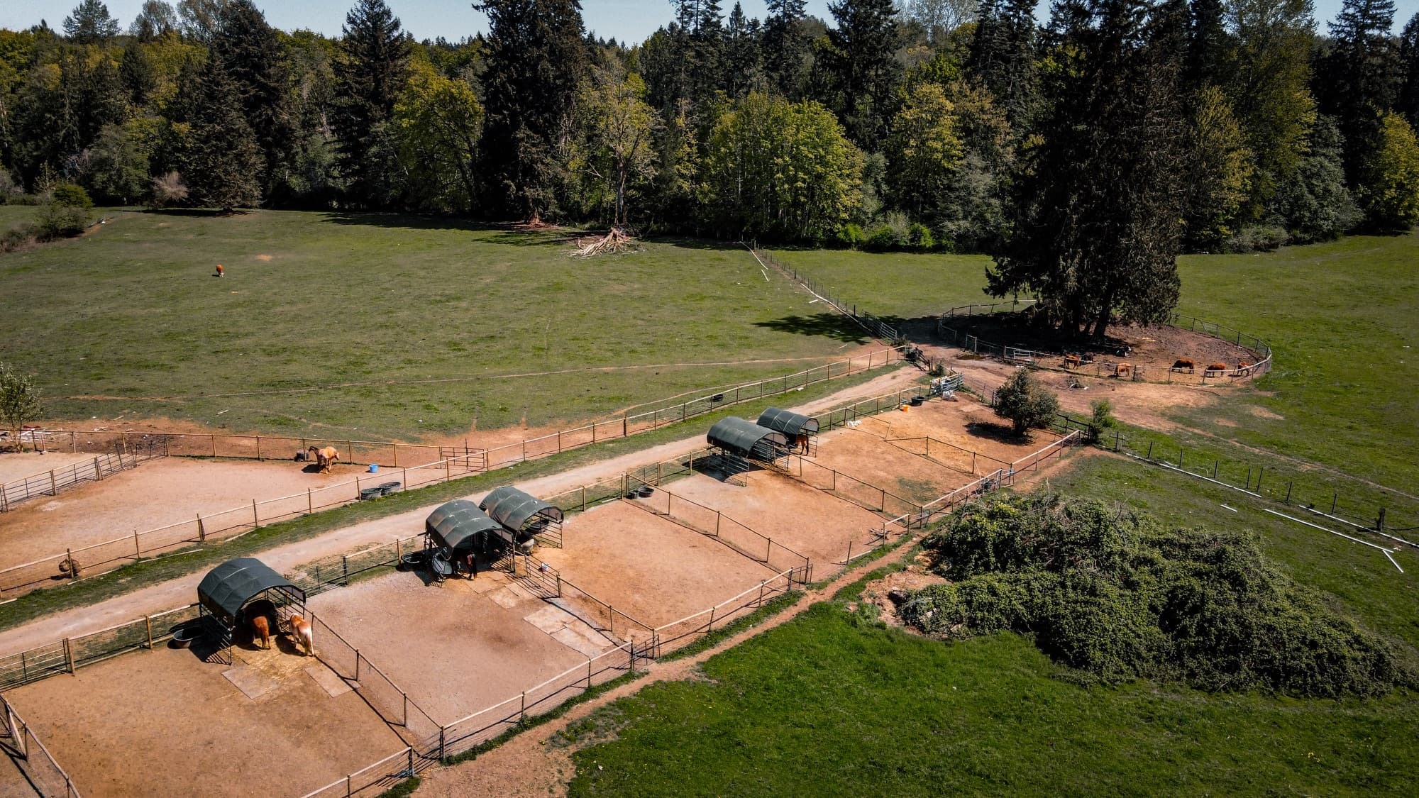 Aerial of paddocks and pasture at Simmons Quarter Horses