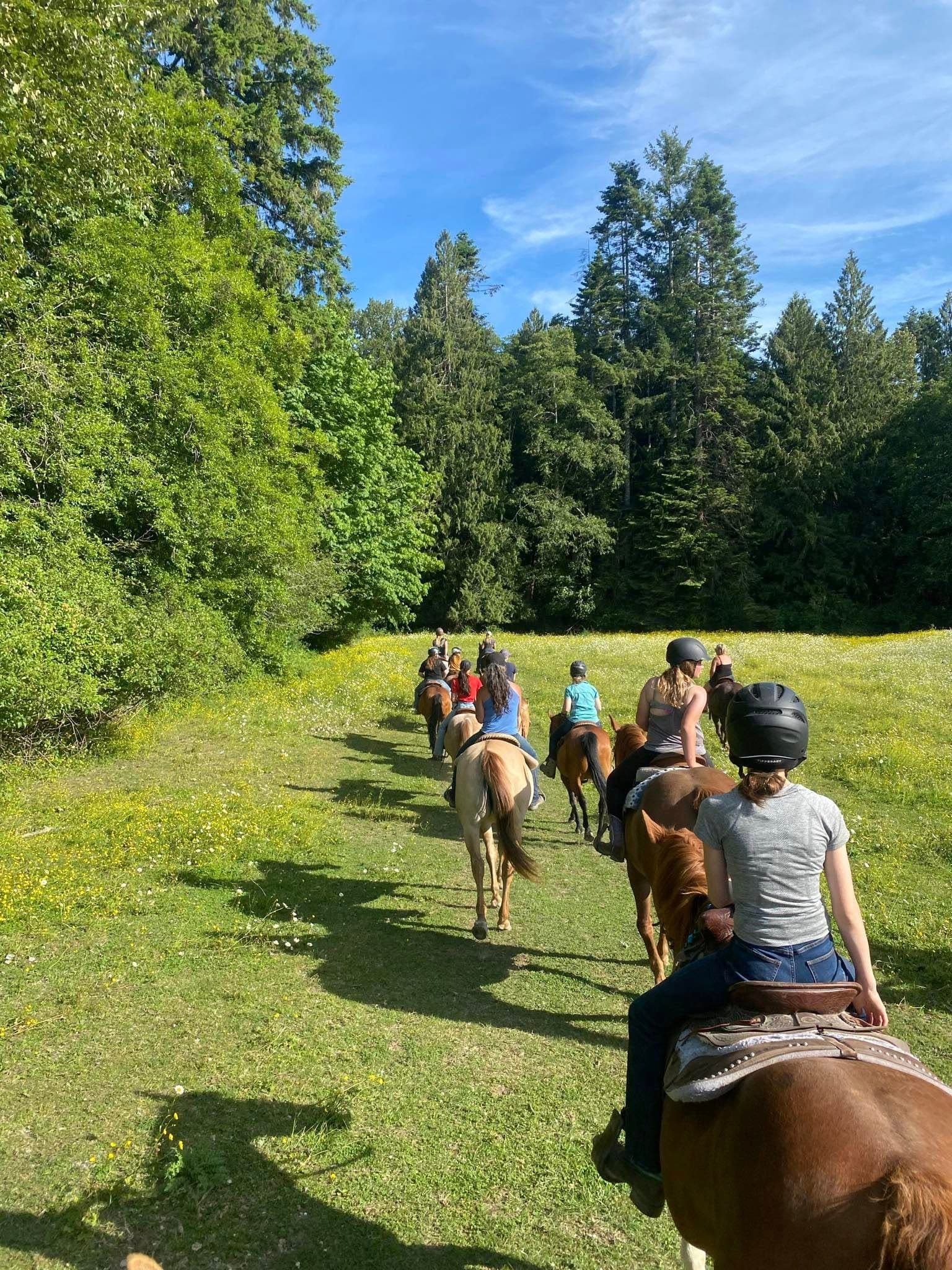 Trail riders heading through the pasture toward the forest at Simmons Quarter Horses