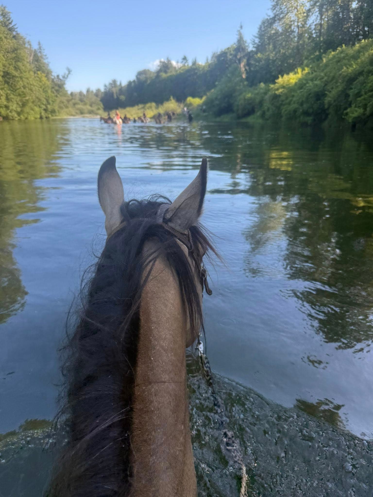 View from the saddle as the trail string heads down the Nanaimo River
